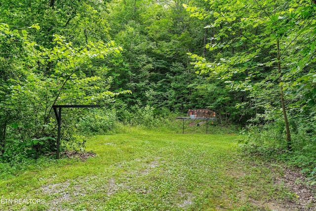 976 Lone Rd, Pioneer, TN 37847 - view of grassy yard with a view of trees