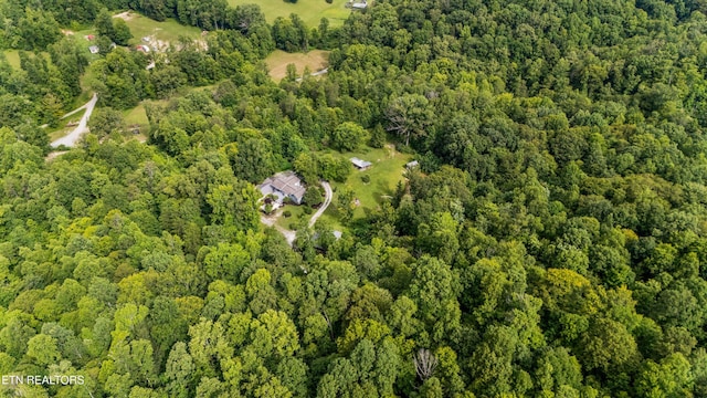 976 Lone Rd, Pioneer, TN 37847 - view of property location featuring a forest