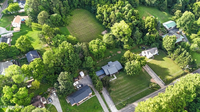 1501 Cedar Ln, Knoxville, TN 37918 - photo 5