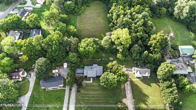 1501 Cedar Ln, Knoxville, TN 37918 - photo 6