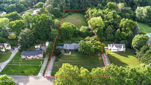 1501 Cedar Ln, Knoxville, TN 37918 - photo 4