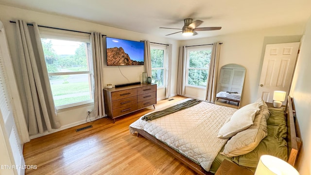1501 Cedar Ln, Knoxville, TN 37918 - photo 33