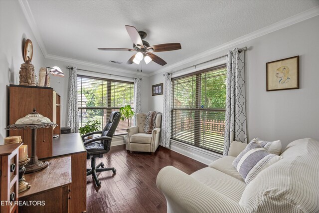 6245 Mountain Rise Dr, Knoxville, TN 37938 - photo 15