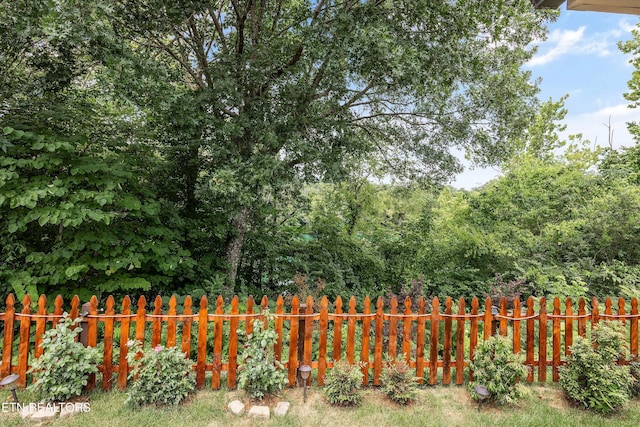 6245 Mountain Rise Dr, Knoxville, TN 37938 - photo 29