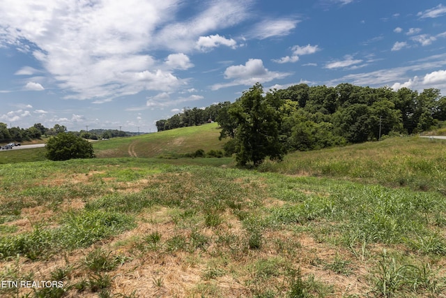 122 Binfield Rd, Maryville, TN 37801 - photo 29