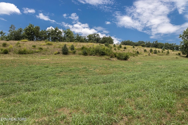 122 Binfield Rd, Maryville, TN 37801 - photo 30