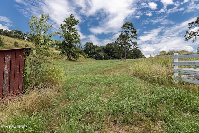 122 Binfield Rd, Maryville, TN 37801 - photo 32