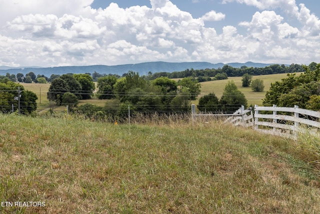 122 Binfield Rd, Maryville, TN 37801 - photo 34