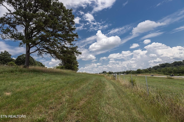 122 Binfield Rd, Maryville, TN 37801 - photo 37