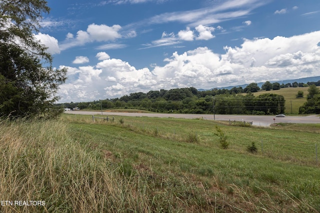122 Binfield Rd, Maryville, TN 37801 - photo 39
