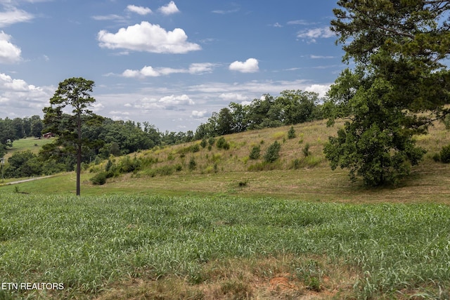 122 Binfield Rd, Maryville, TN 37801 - photo 40