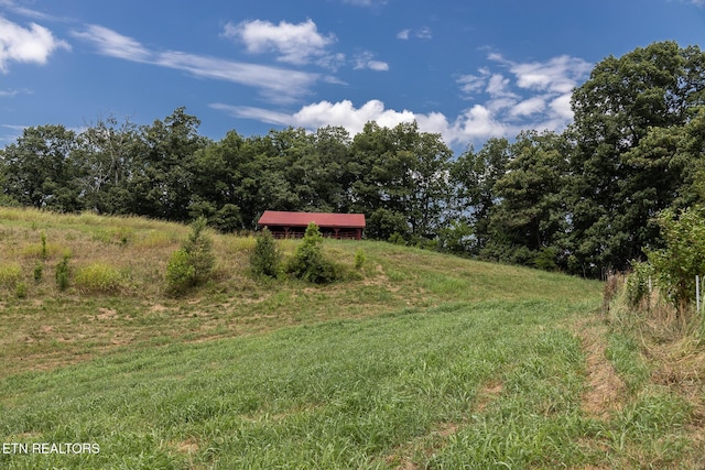 122 Binfield Rd, Maryville, TN 37801 - photo 41