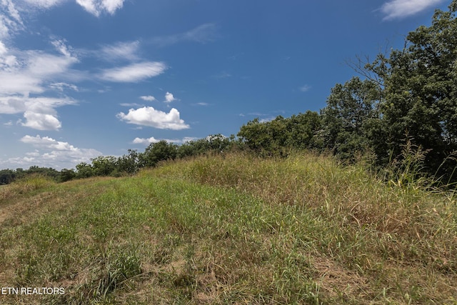 122 Binfield Rd, Maryville, TN 37801 - photo 43