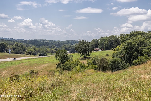 122 Binfield Rd, Maryville, TN 37801 - photo 49