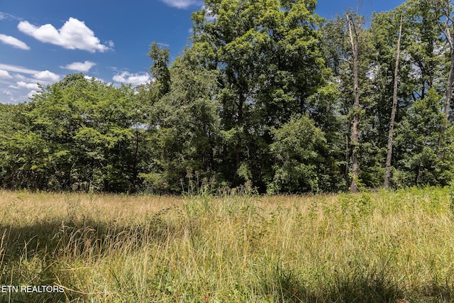 122 Binfield Rd, Maryville, TN 37801 - photo 51