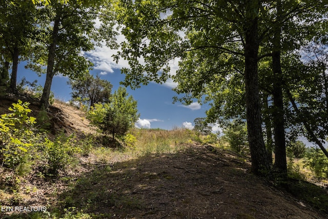 122 Binfield Rd, Maryville, TN 37801 - photo 52