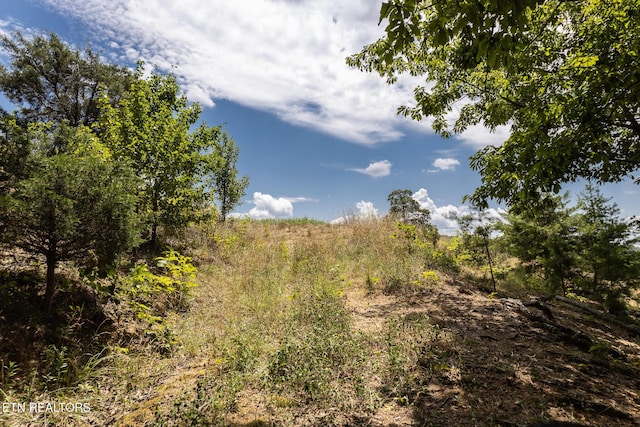 122 Binfield Rd, Maryville, TN 37801 - photo 53