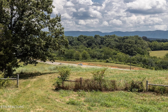122 Binfield Rd, Maryville, TN 37801 - photo 56