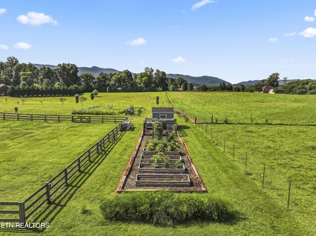 771 Majestic Mountains Blvd, Walland, TN 37886 - photo 42