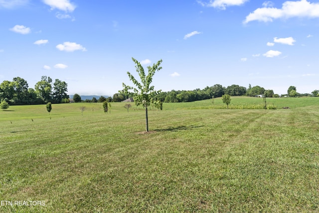 771 Majestic Mountains Blvd, Walland, TN 37886 - photo 44