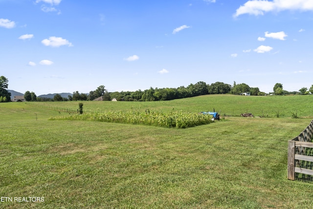 771 Majestic Mountains Blvd, Walland, TN 37886 - photo 45