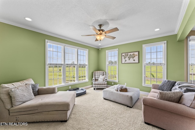 771 Majestic Mountains Blvd, Walland, TN 37886 - photo 18