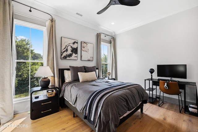 1014 High Springs Rd, Knoxville, TN 37932 - bedroom featuring multiple windows, light wood-type flooring, crown molding, and a ceiling fan