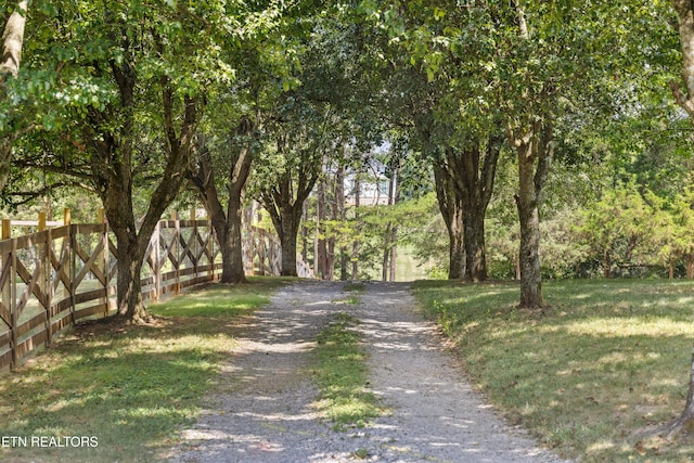 1014 High Springs Rd, Knoxville, TN 37932 - view of dirt / gravel road