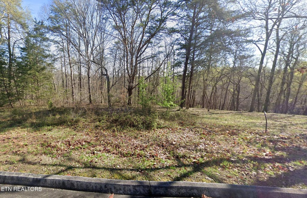 Deer Ridge Rd, Kingston, TN 37763 - photo 1
