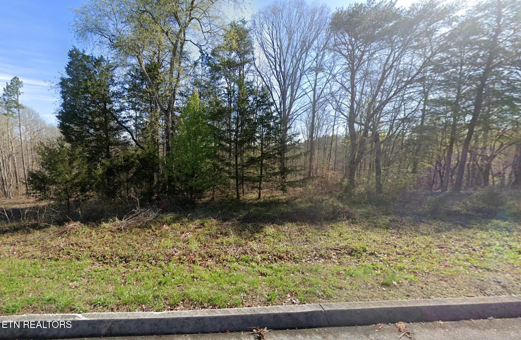 Deer Ridge Rd, Kingston, TN 37763 - photo 2