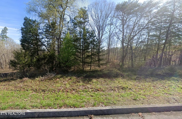 Deer Ridge Rd, Kingston, TN 37763 - photo 2