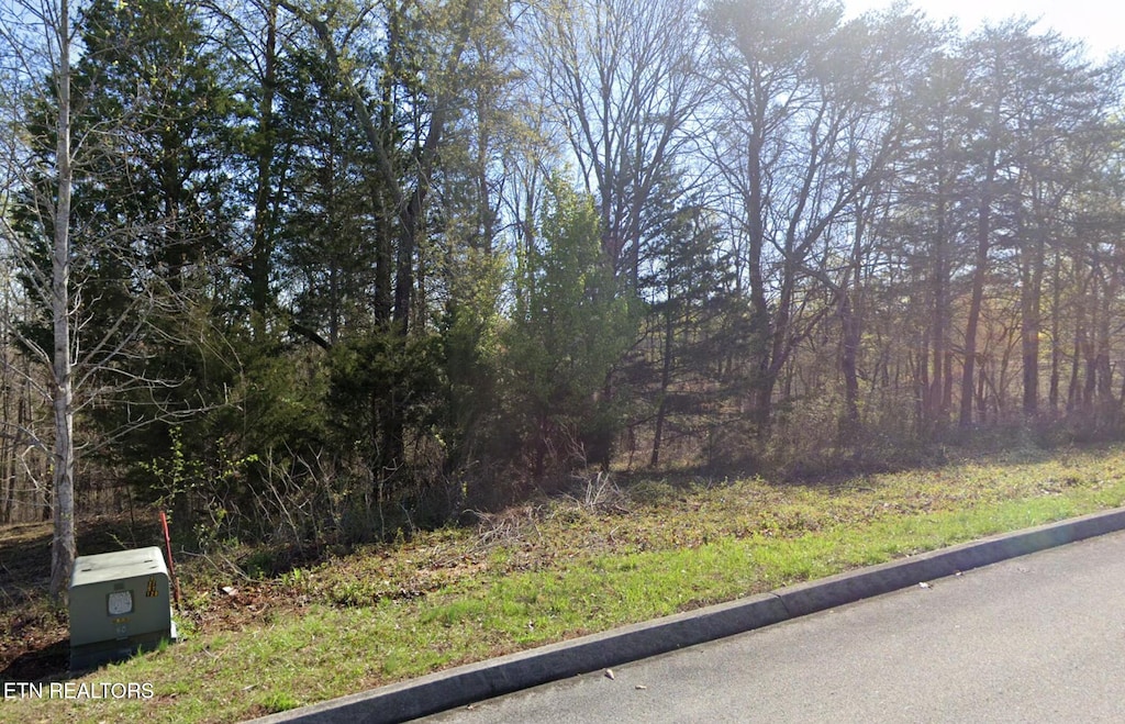 Deer Ridge Rd, Kingston, TN 37763 - photo 3
