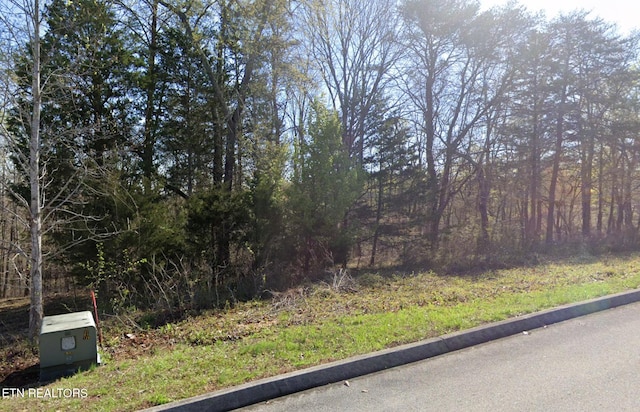 Deer Ridge Rd, Kingston, TN 37763 - photo 3