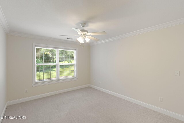 12508 Oakborough Ln, Knoxville, TN 37922 - photo 33