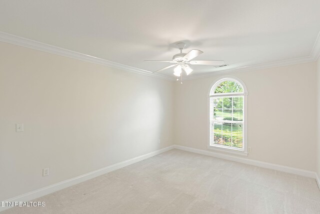 12508 Oakborough Ln, Knoxville, TN 37922 - photo 35