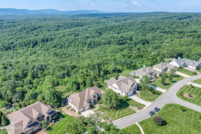 40 Bluff View Ter, Crossville, TN 38558 - photo 43