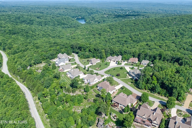 40 Bluff View Ter, Crossville, TN 38558 - photo 46