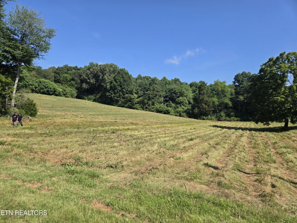 115 Billingsley Rd, Sweetwater, TN 37874 - photo 1