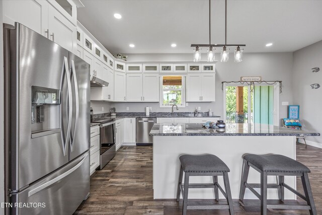487 Peninsula, Rutledge, TN 37861 - kitchen with stainless steel appliances, a breakfast bar area, recessed lighting, under cabinet range hood, and dark wood finished floors