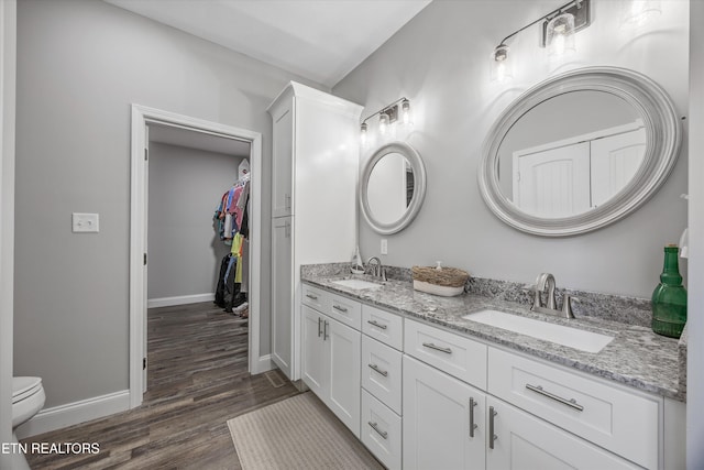 487 Peninsula, Rutledge, TN 37861 - bathroom featuring double vanity, wood finished floors, and a walk in closet