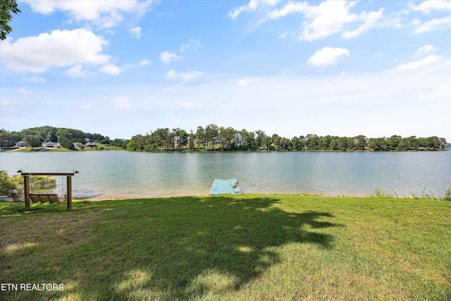 487 Peninsula, Rutledge, TN 37861 - water view