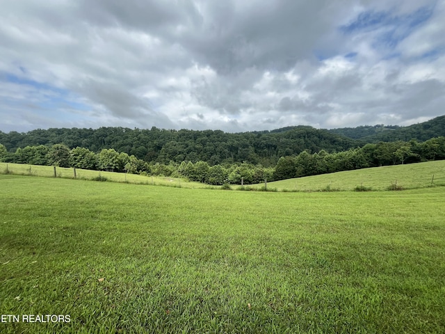 468 Spears Dr, Pennington Gap, VA 24277 - photo 9