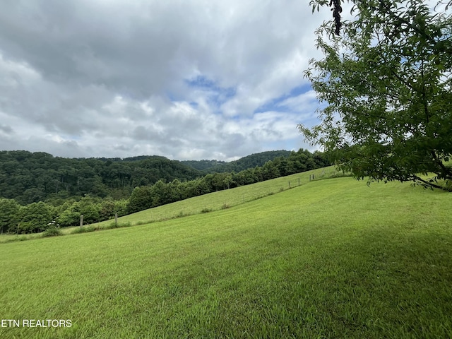 468 Spears Dr, Pennington Gap, VA 24277 - photo 10
