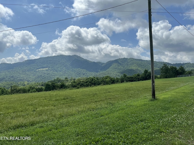 468 Spears Dr, Pennington Gap, VA 24277 - photo 15