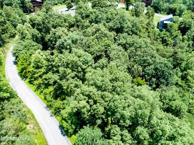 LOT55 Oak Lake Dr, Sevierville, TN 37876 - photo 25