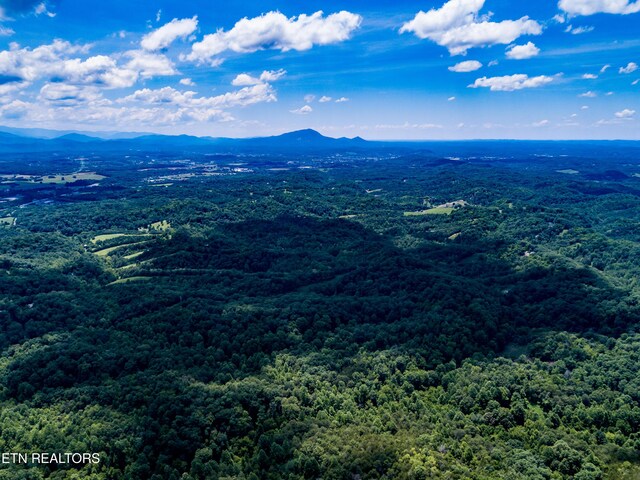 LOT55 Oak Lake Dr, Sevierville, TN 37876 - photo 15