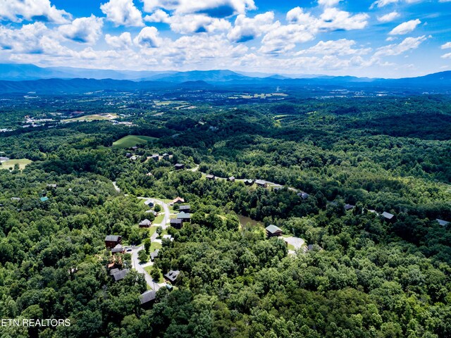 LOT55 Oak Lake Dr, Sevierville, TN 37876 - photo 20