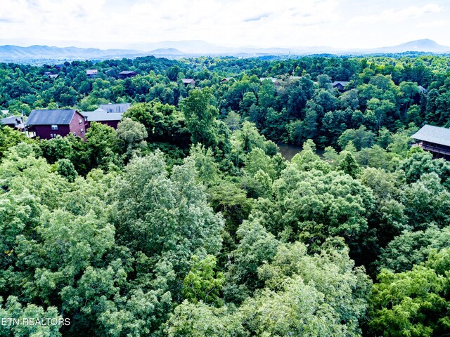 LOT55 Oak Lake Dr, Sevierville, TN 37876 - photo 5