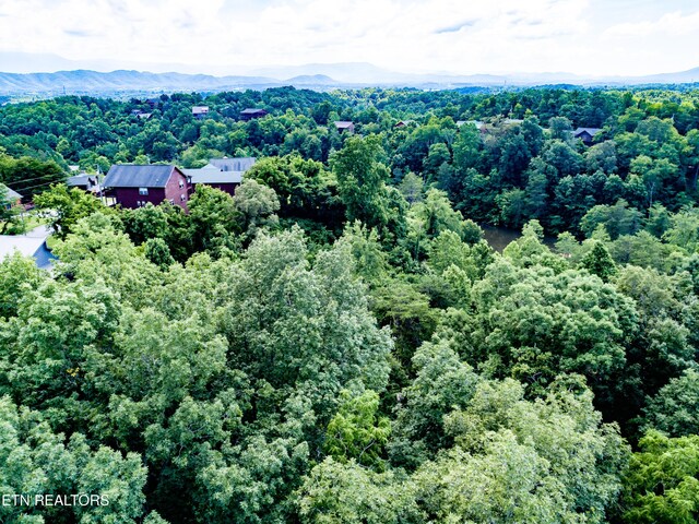 LOT55 Oak Lake Dr, Sevierville, TN 37876 - photo 6