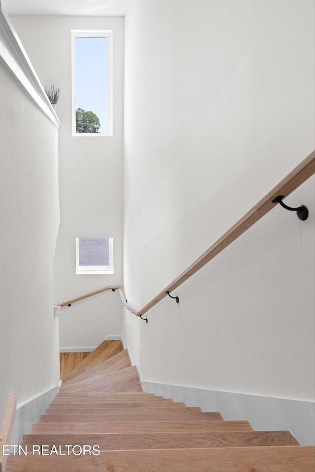113 E Oldham Unit 103, Knoxville, TN 37917 - photo 36